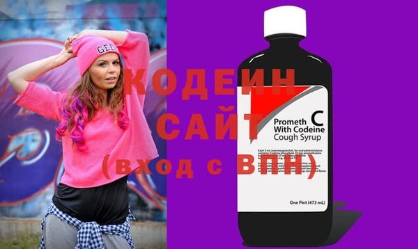 индика Тихвин