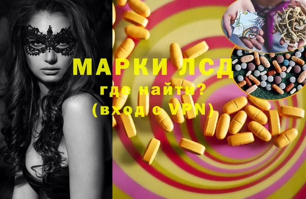 прущие грибы Баксан