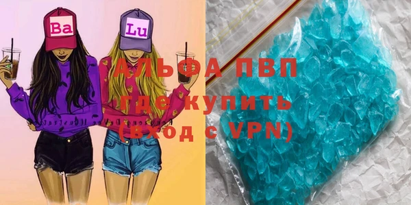 прущие грибы Баксан