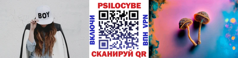 дарнет шоп  Кувшиново  Псилоцибиновые грибы мухоморы 